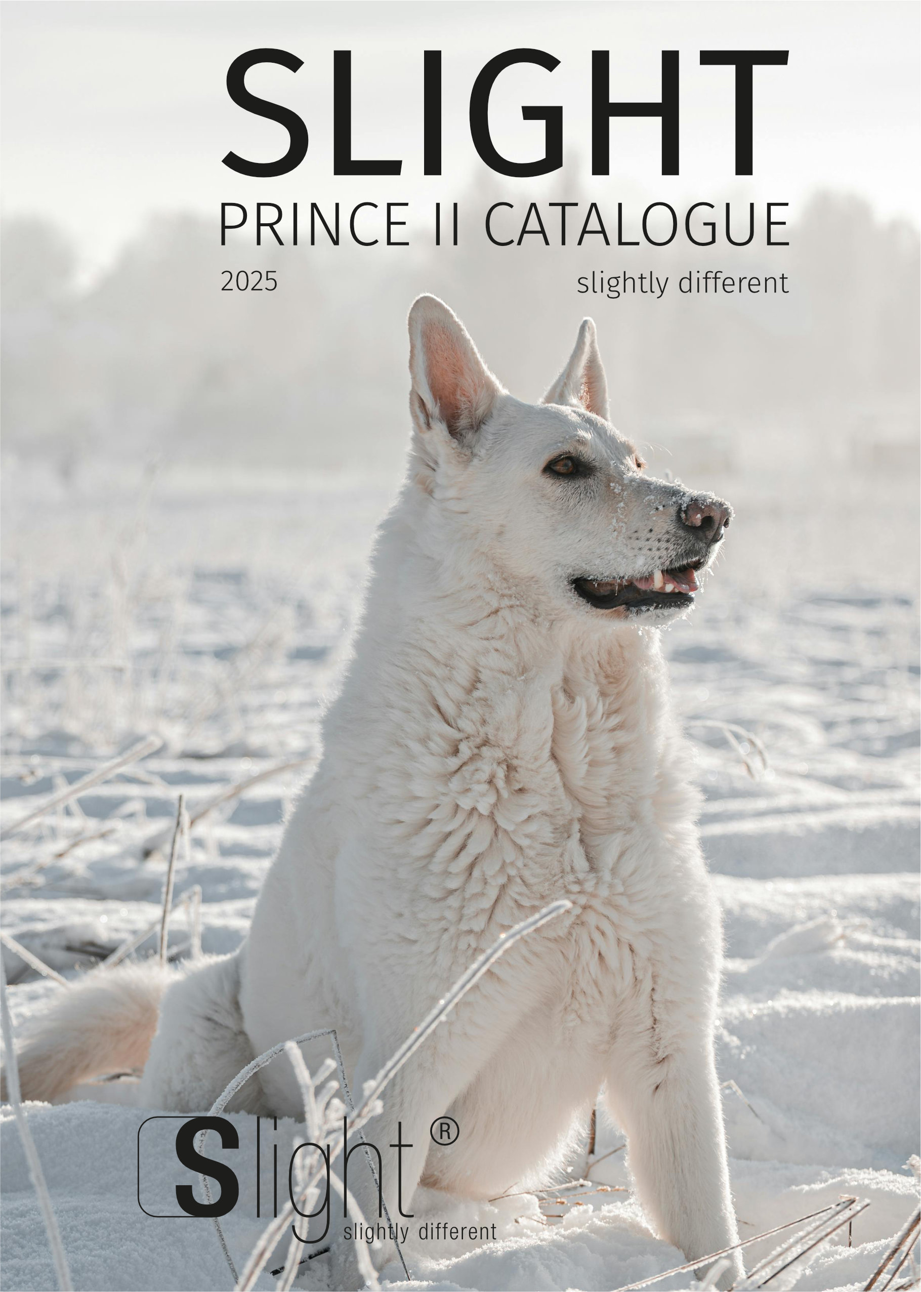 Slight WEB - Prince II 2025 A5.pdf